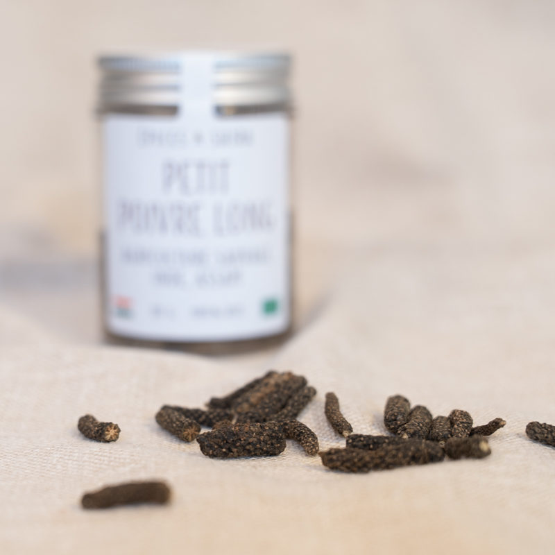 petit-poivre-long-2